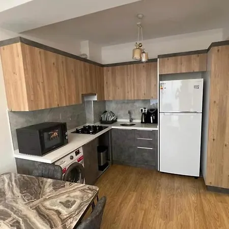 Luxury 1+1 With Pool Apartment Antalya